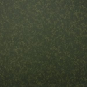 Army Green Tonal Cotton Fabric by Keepsake Calico