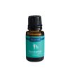 Candle Warmers 100ml Eucalyptus Essential Oil