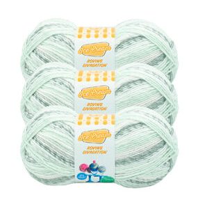 Lion Brand Ice Cream Roving Stripes 437yds Worsted Acrylic Yarn 3 Bundle