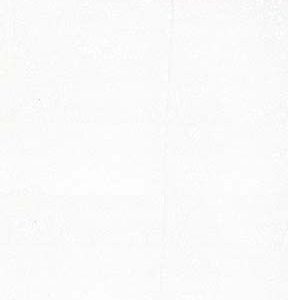 Fabric Traditions Bright White Floral Cotton Fabric by Keepsake Calico