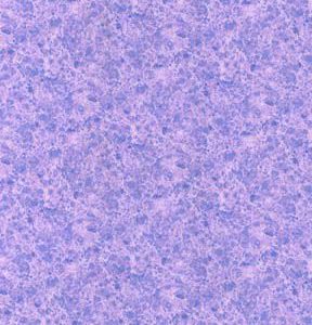 Fabric Traditions Textured Tonals Cotton Fabric by Keepsake Calico