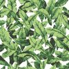 York Wallcoverings Wallpaper Palm Leaf