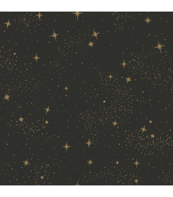 RoomMates Wallpaper Black Upon a Star