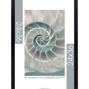 MCS 24 36 Gallery Wide Black Poster Frame