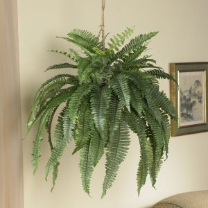 Nearly Natural Large Boston Fern in Hanging Basket