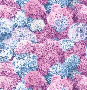 Fabric Traditions Pink   Blue Hydrangeas Premium Cotton Fabric