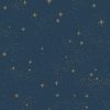 RoomMates Upon A Star Peelable Wallpaper