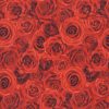 Hi Fashion Red Roses Premium Cotton Fabric