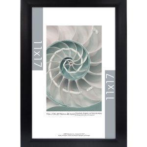 MCS 11 x 17 Black Poster Gallery Frame