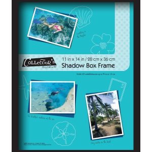 Collector s Museum 11 14 Omega Black Shadowbox Frame