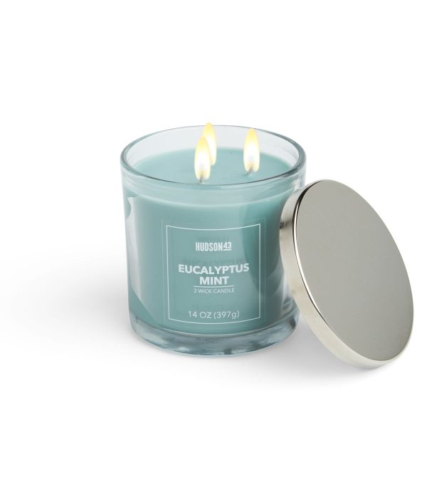 14oz Eucalyptus Mint Scented Jar Candle by Hudson 43 - Image 2