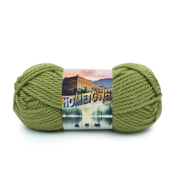 Lion Brand Hometown Super Bulky Acrylic Yarn - Image 4